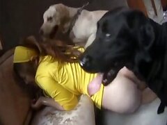 Mature bestiality sex