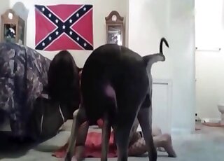 Awesome girl with a shapely ass is going to get screwed brutally