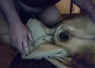 Attractive zoophile dude cums all over the dog's pussy in the dark