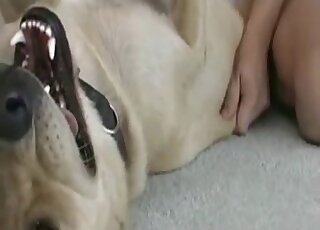 Hot guy uses his hard penis to fuck a very sexy mutt on the floor
