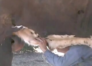 Open-air seduction video with a confident male zoophile with his big D