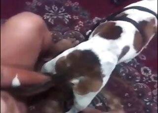 Amateur cougar tries to lure pet dog into banging by jerking him off