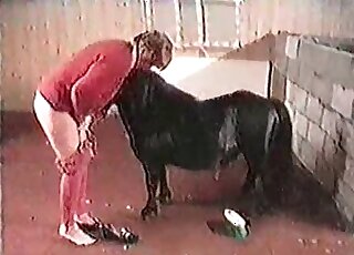 Good-looking black pony is here to fuck a lady's super-tight hole