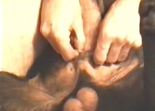 Pervert drills tight pussy of his dog without getting exhausted