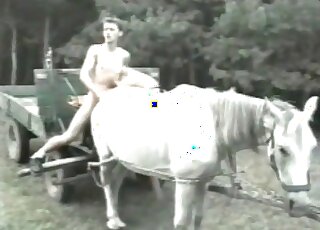Crazy couple involve a horse into their dirty zoo porn sex game