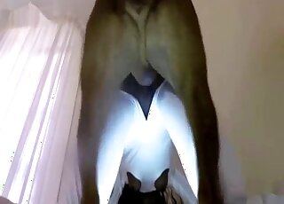 Sexy brown animal receives a blowjob from a masked ebony zoophile